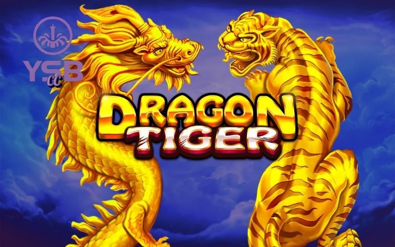Cách chơi Dragon Tiger đơn giản, tỷ lệ thắng cao, dễ hiểu 3 Dragon Tiger